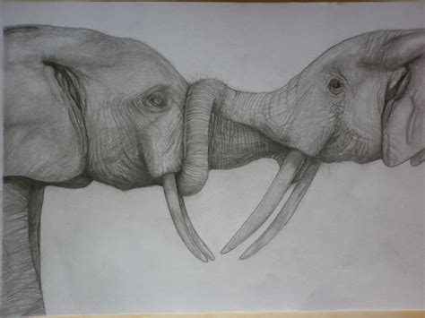 Elephant Drawing Cruelty Peepsburgh