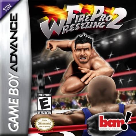 Fire Pro Wrestling Returns Ps2 Iso Download Romcolour