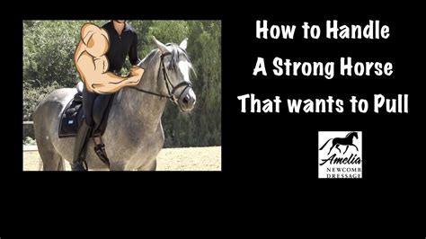 How To Manage A Horse That Gets Strong And Pulls Youtube