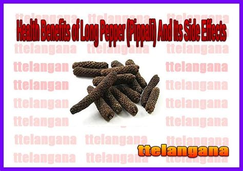 Health Benefits Of Long Pepper Pippali And Its Side Effects