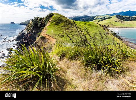 Jackson Bay At Coromandel Peninsula New Zealand Stock Photo Alamy