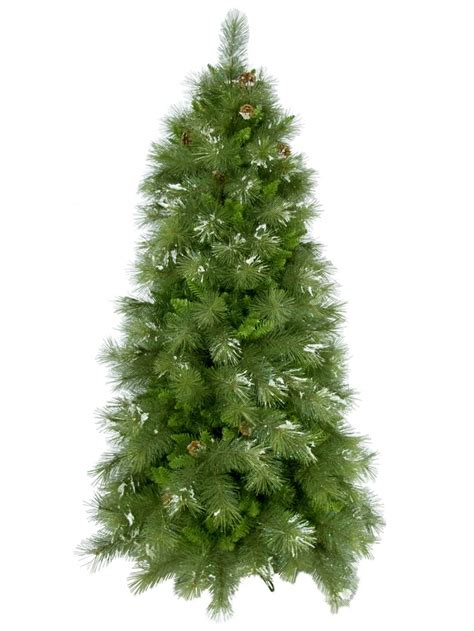 Siberian Cedar Pine Christmas Tree 18m Christmas Decorations Buy