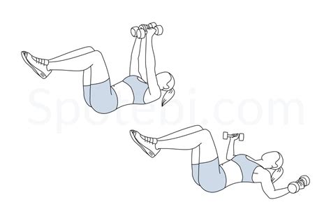 Chest Fly Illustrated Exercise Guide
