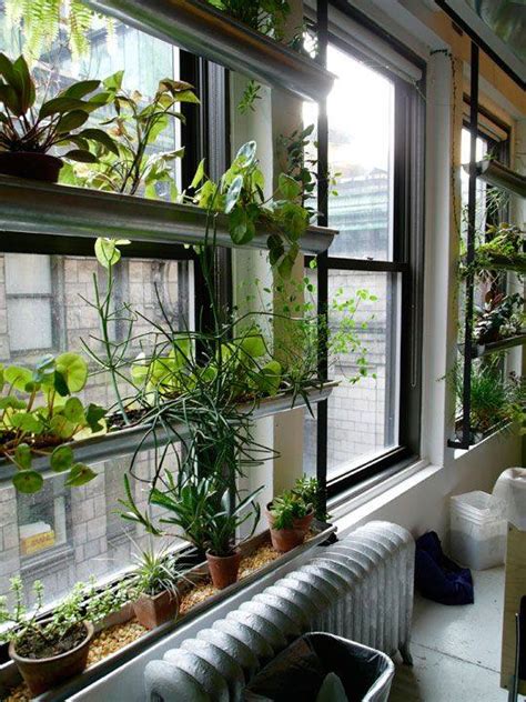 55 Easy To Maintain Beautiful Variety Of Indoor Plants To