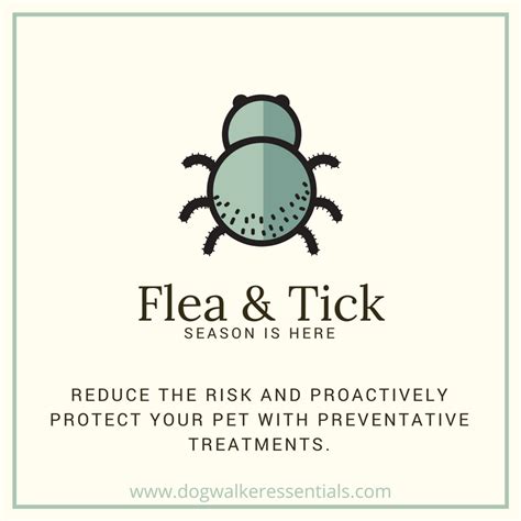 4 Safe And Effective Flea And Tick Prevention Products Tick Prevention Flea And Tick Fleas