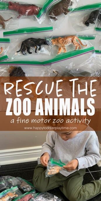 37 Amazing Zoo Animal Activities Happy Toddler Playtime