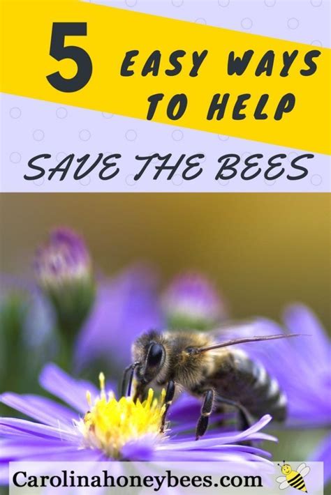 5 Easy Ways To Help Save The Bees Bee Keeping Save The Bees Bee