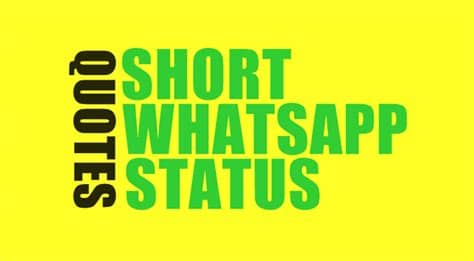 Whatsapp status is one of the best features, which allow users to upload quotes for their contacts to see. 500+ Whatsapp Status Quotes - Short Quotes for Whatsapp Status
