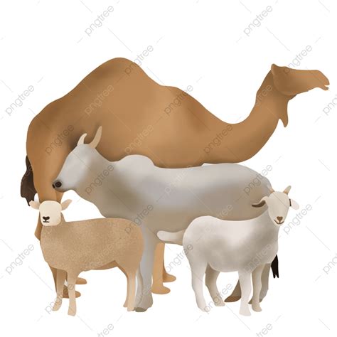 Cow And Goat PNG Transparent, Illustration Of Sacrificial Animals