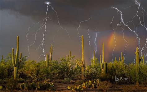 Lightning Storm In The Tortolita Mountain Foothills North Of Tucson Arizona Usa Bing