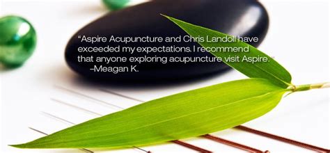 Quality Acupuncture In Apex Nc Acupuncture Healthy Living Tips Herbs