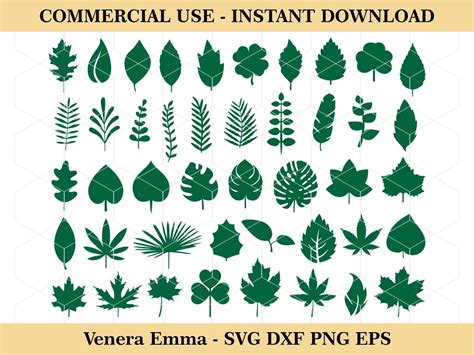 Leaf Paper Leaves Svg Cricut Template