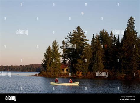 Couple Paddle Canoe On Source Lake Algonquin Park Ontario Canada