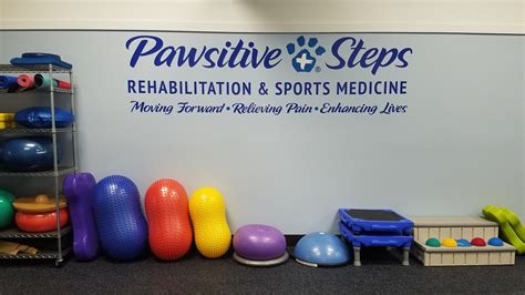 Latest News | Pawsitive Steps Rehabilitation & Therapy for Pets, Troy MI