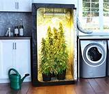 Marijuana Closet Grow Box Images