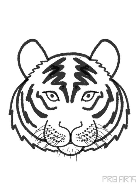 How To Draw A Tiger Face Easy Prb Arts