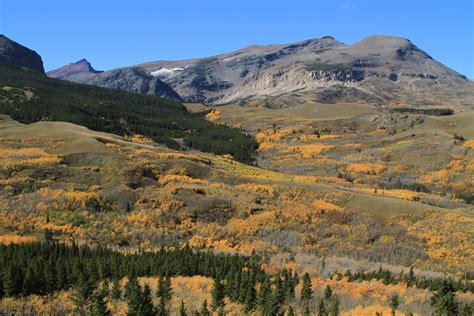 Best Time For Fall Colors In Glacier National Park Mt 2024 Roveme