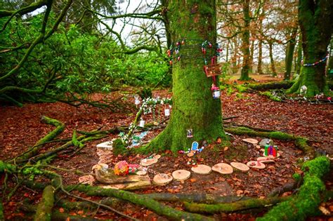In Pictures Mystical Fairy Village Opens At Heart Of Co Armagh Forest