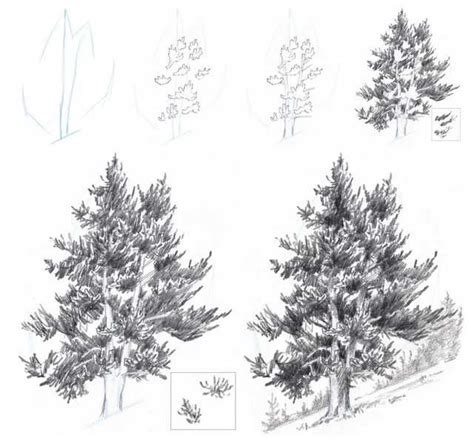How To Draw Trees By John Muir Laws In 2020 Landscape Drawings