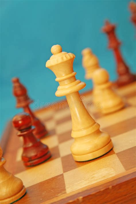 Chess Stock Photo Image Of Bishop Competition Opponent 852572