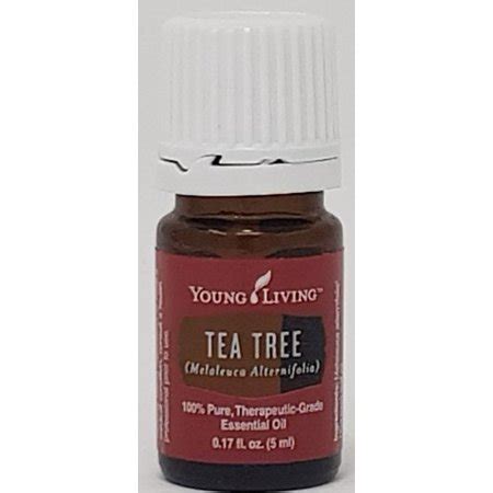Best tea tree essential oil. Young Living Tea Tree Essential Oil 5ml - Certified ...