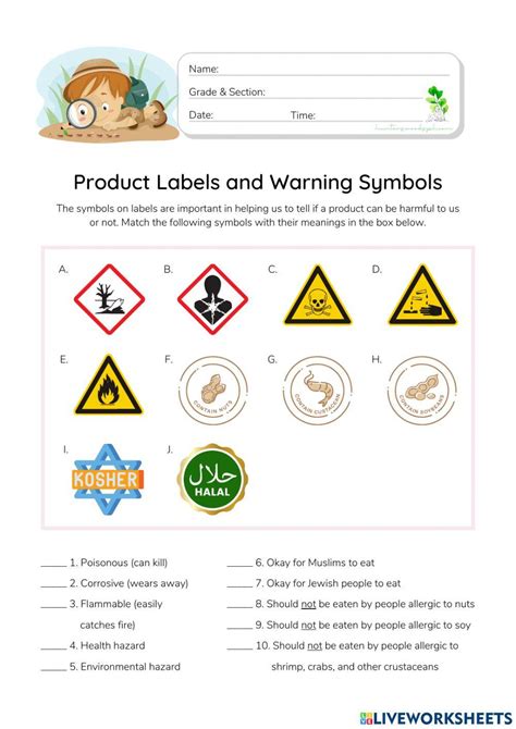 Useful And Harmful Materials Worksheet Exercise