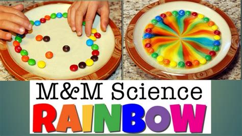 M And M Experiment For Kids Rainbow Youtube
