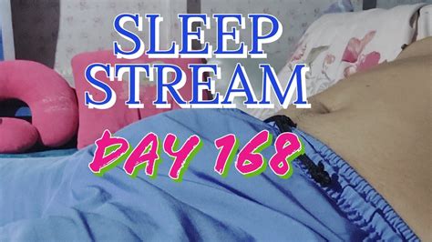 Sleep Stream Day 168 Youtube