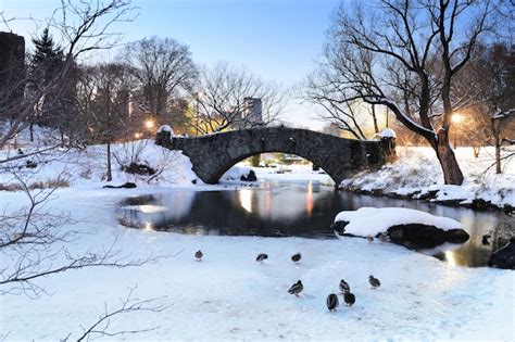 New York City Manhattan Central Park No Inverno Com Ponte Foto Grátis