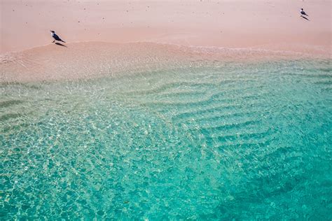 Discover The Unforgettable Pink Sands Beach In The Bahamas