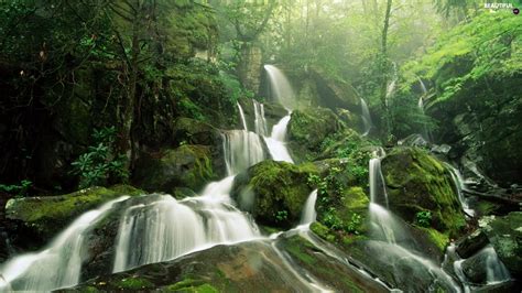 Jungle Moss Stones Waterfall Beautiful Views Wallpapers 1920x1080