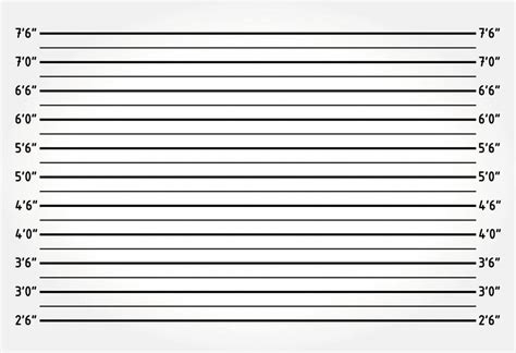 Mugshot Background Digital Printed White Police Lineup Prop 8 X 6 Ft