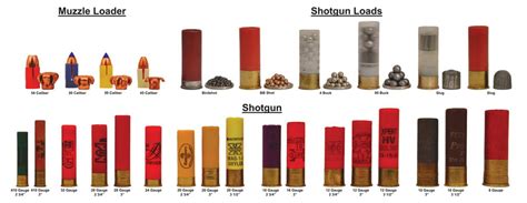 Vintage Outdoors Shotgun Shell Gauge And Load Comparison