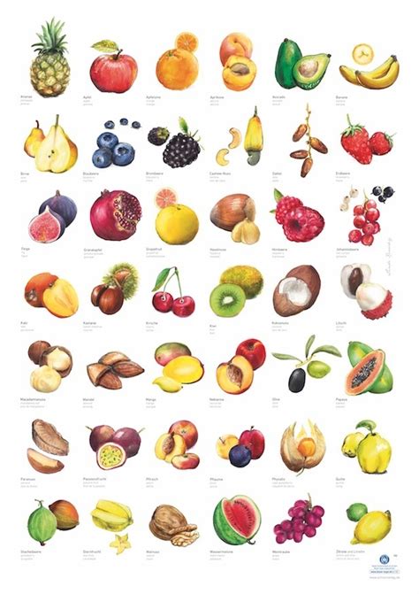 Fruit Poster In Kinderpostershop And Poster Store Berlin