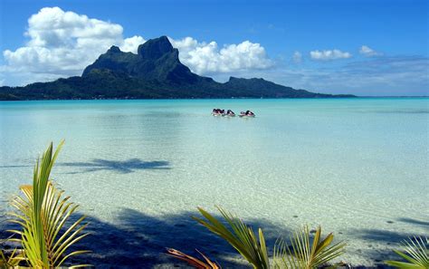 Bora Bora Beach Wallpapers Top Free Bora Bora Beach Backgrounds
