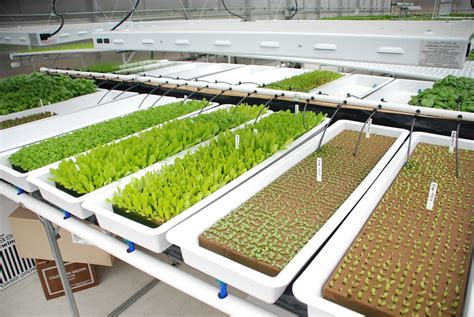 Pin On Hydroponic Systems