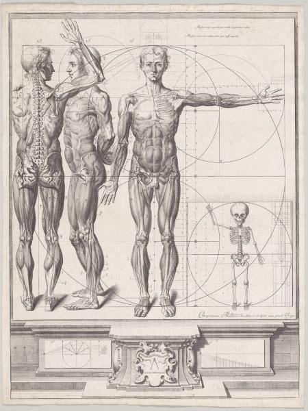 Theater Of The Body A Renaissance Of Human Anatomy University Of St