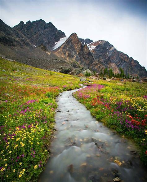 Check Out Our Other Account Intotheoutback Bugaboo Provincial Park