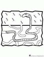 Cute Worm Coloring Page | Free Printable Coloring Pages - Coloring Home