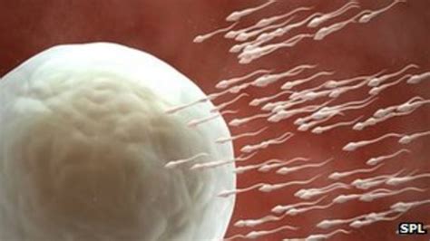 Us Scientists Aim To Make Human Sperm From Stem Cells Bbc News