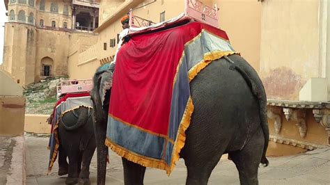 Elephant Ride At Amber Amer Fort Jaipur India Youtube