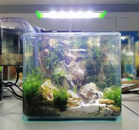 Your freshwater aquascape stock images are ready. Beautiful Aquascape Freshwater Tank (With images) | Fish ...