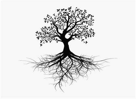 Tree With Roots Design Tree With Roots Silhouette Png Transparent