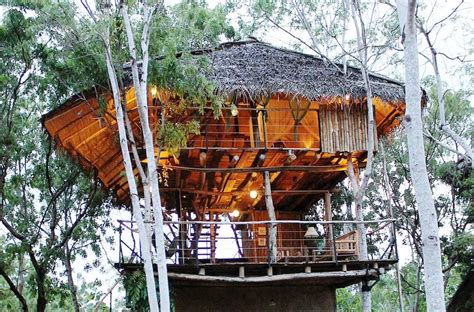 28 Most Amazing Treehouse Designs In The World Tree House Resort