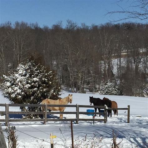 Double J Stables Has The Winter Horseback Riding Trail In Kentucky That