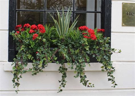 Window flower boxes are also highly suitable for homeowners with limited spaces because it allows you to enjoy a garden even if you do not have a backyard or lawn. Artificial Geranium Window Box (With images) | Window box ...