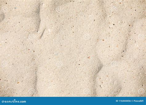 Sand Texture Sandy Beach For Background Top View Stock Photo Image