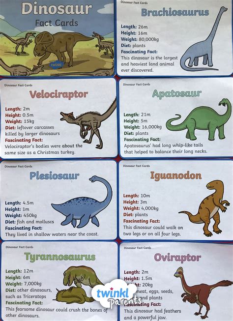 Dinosaur Fact Cards Dinosaur Facts Dinosaur Facts For Kids