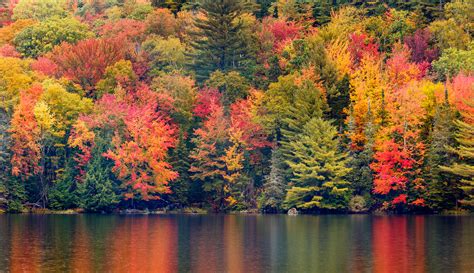 New England Autumn Foliage Designer Splashbacks Cameo