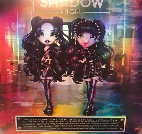 Rainbow High Shadow High Twins Dolls Naomi And Veronica Storm